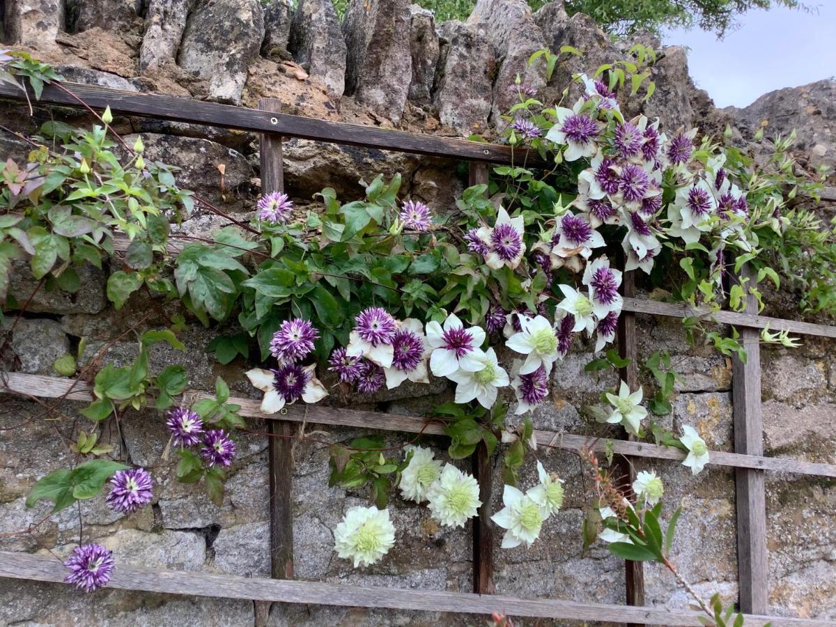 Hollyhock Cottage, Clematis Cottages, 스탬포드 외부 사진